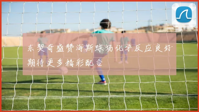 东契奇盛赞海斯球场化学反应良好期待更多精彩配合