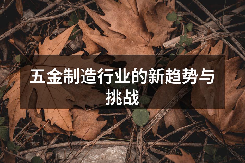 五金制造行业的新趋势与挑战