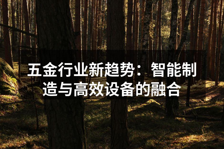 五金行业新趋势：智能制造与高效设备的融合